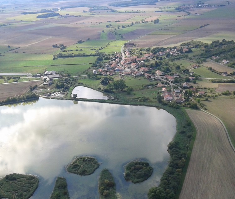 LES PIAFS DU SAULNOIS