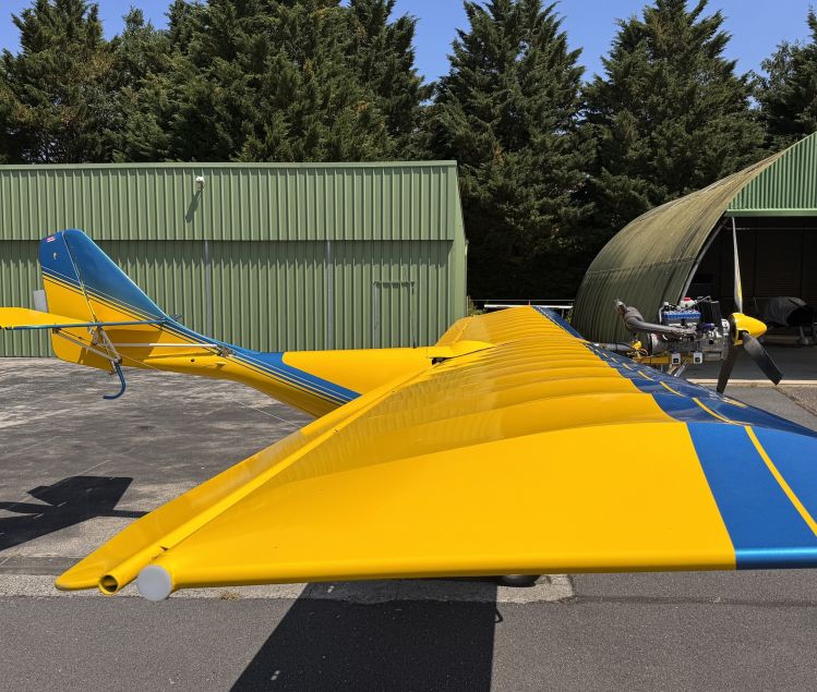 VENDS ULM SPRINGBOK 3000