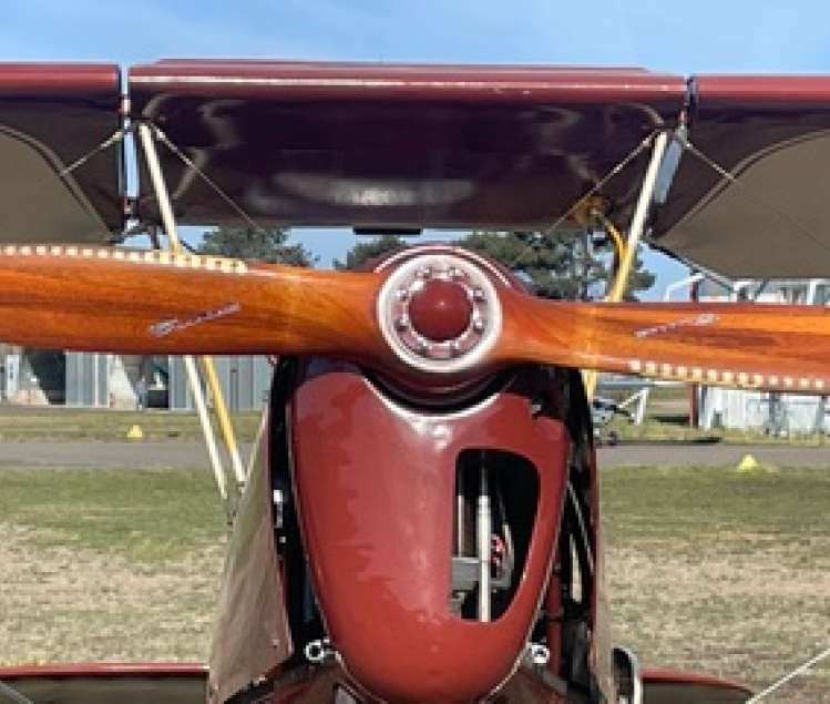 AVION STAMPE SV4