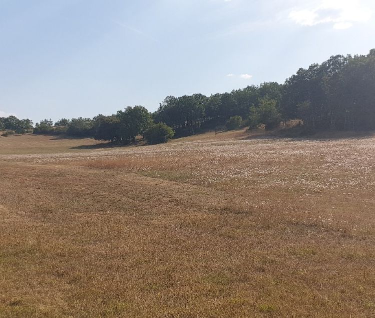 MAISON 265M2 + PISTE  ULM