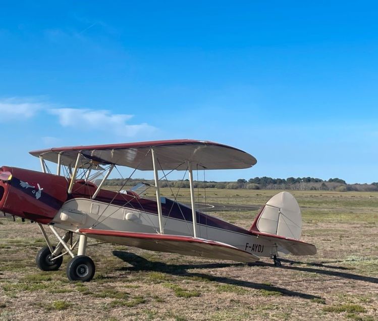 STAMPE SV4C
