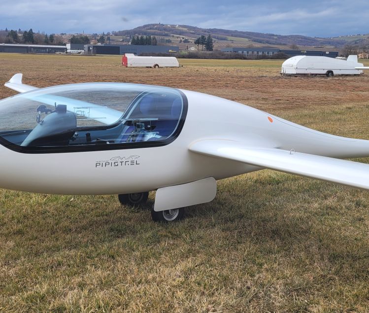 TAURUS PLANEUR PIPISTREL