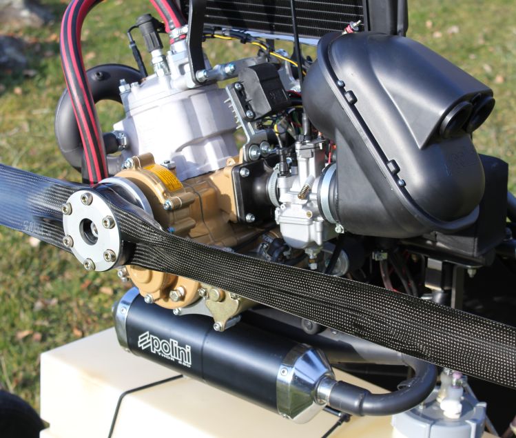 ULM PENDULAIRE SAMSON LA 