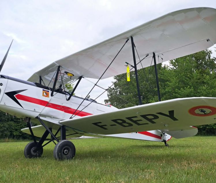 STAMPE SV4