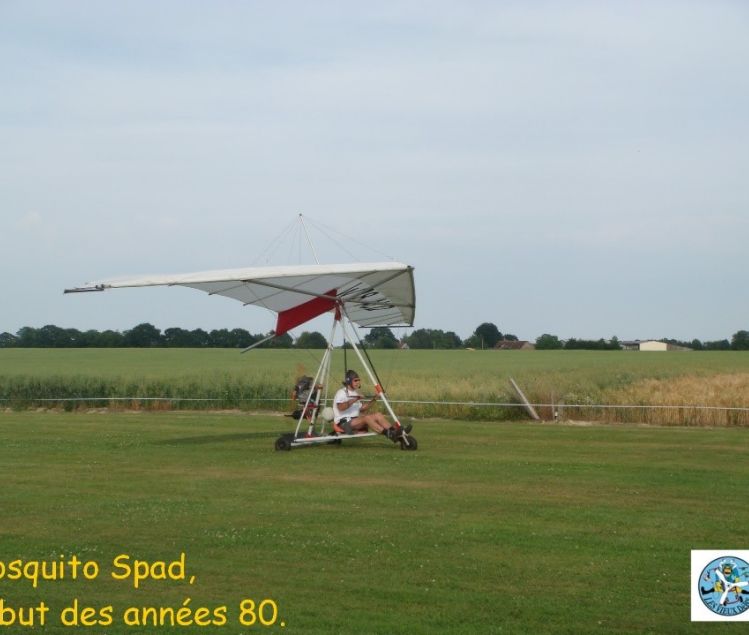 MOSQUITO SPAD