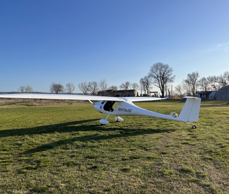 SINUS PIPISTREL