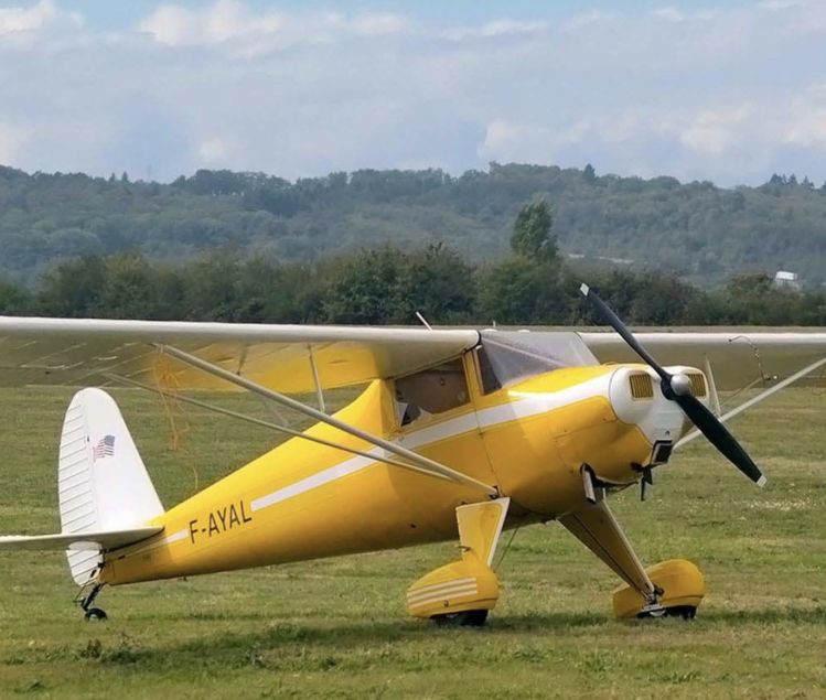 LUSCOMBE 8A